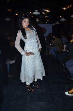 at Designer Aarti Vijay Gupta showcases collection in Rude Lounge on 30th Jan 2012 (72).JPG